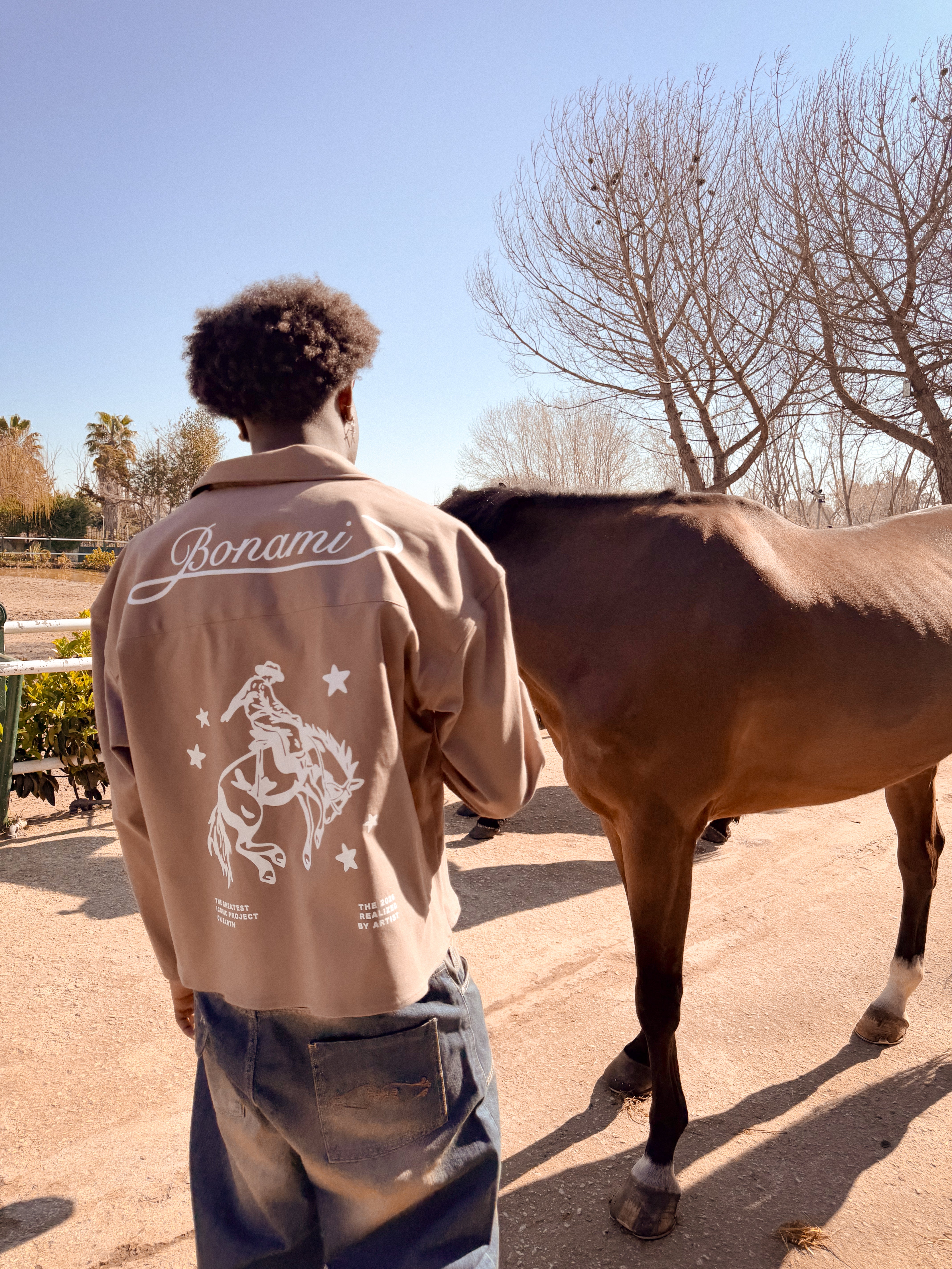 Shirt Western Brown