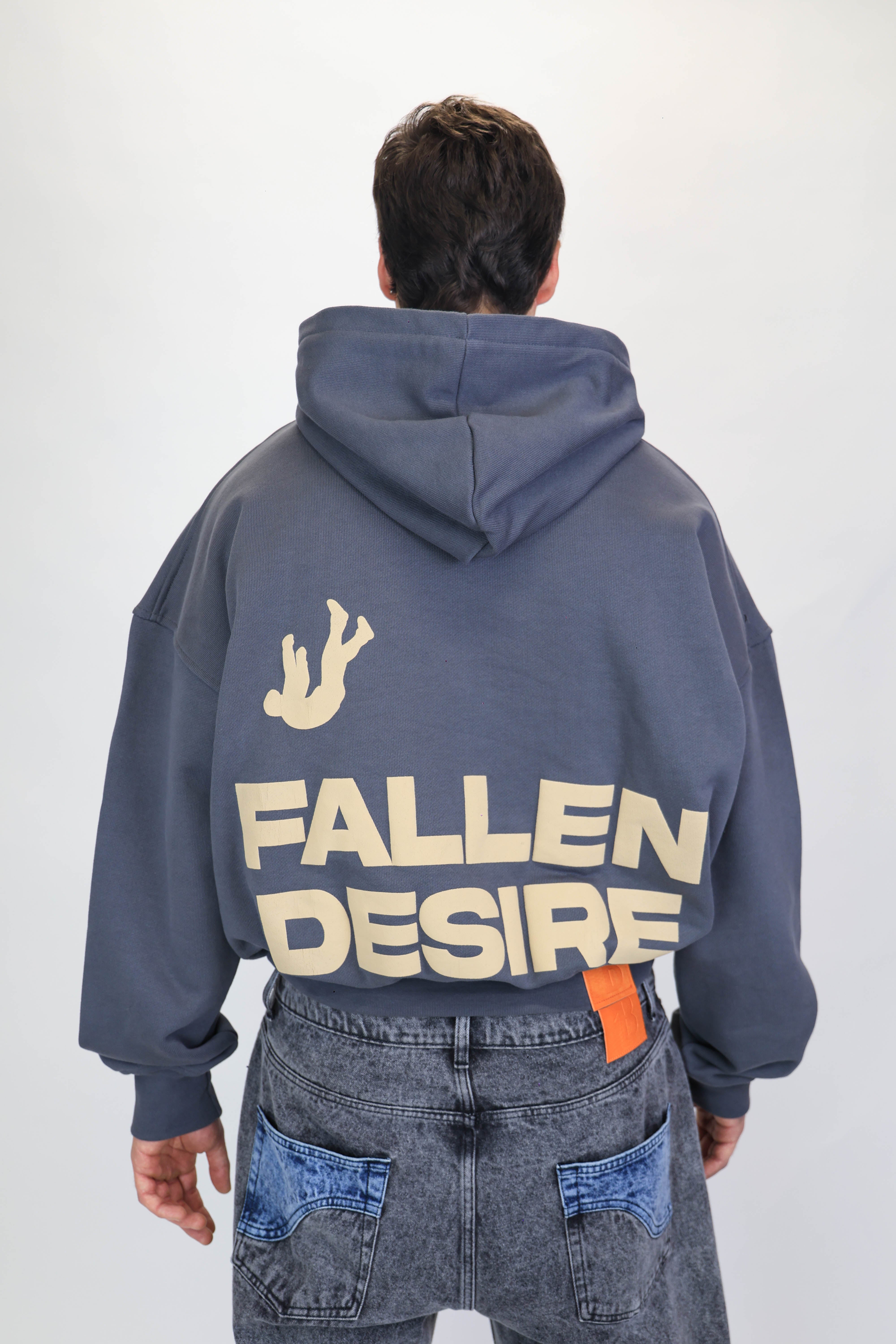 Hoodie Fallen Desire Grey